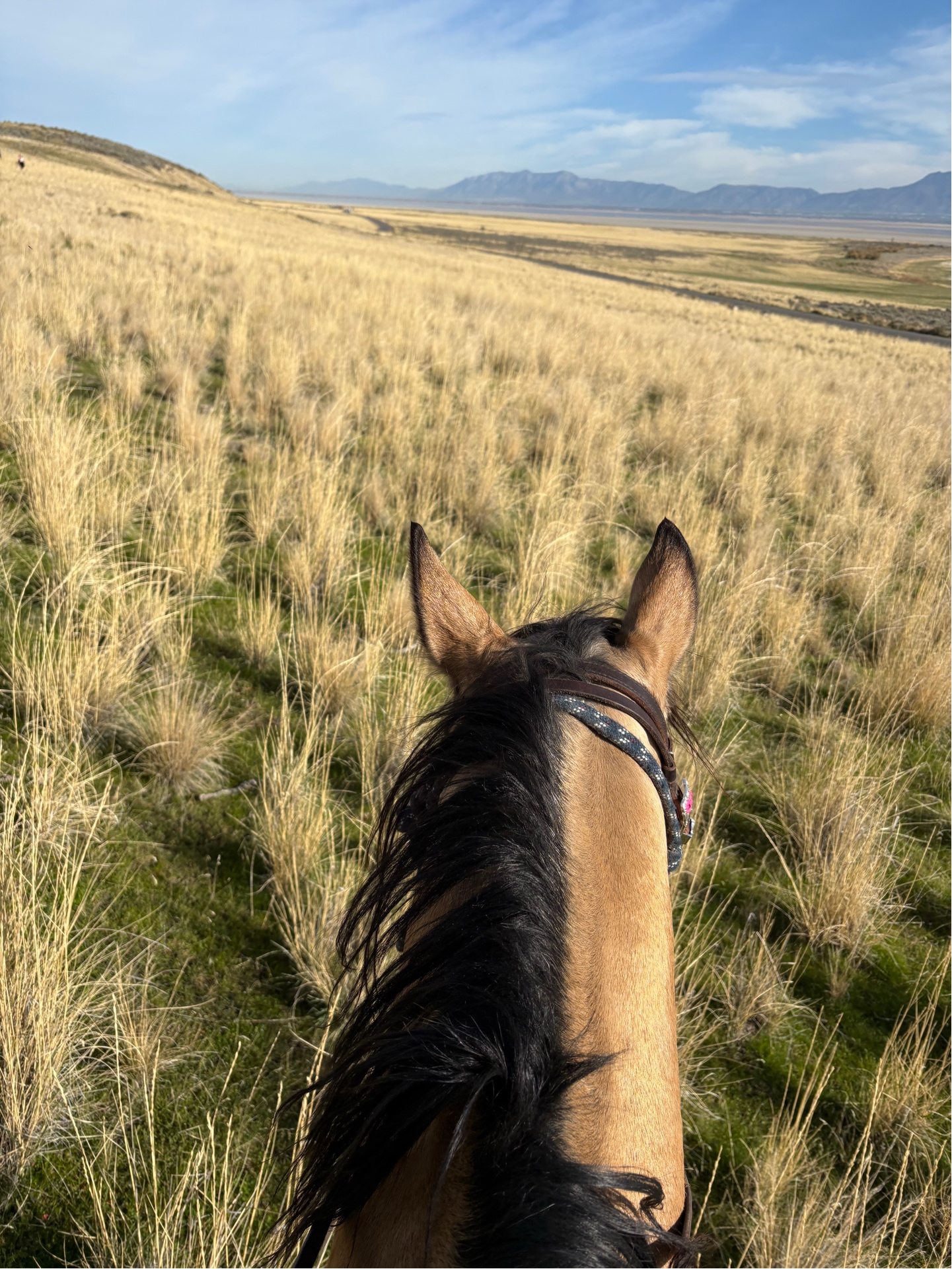 Riding through Utah grasslands