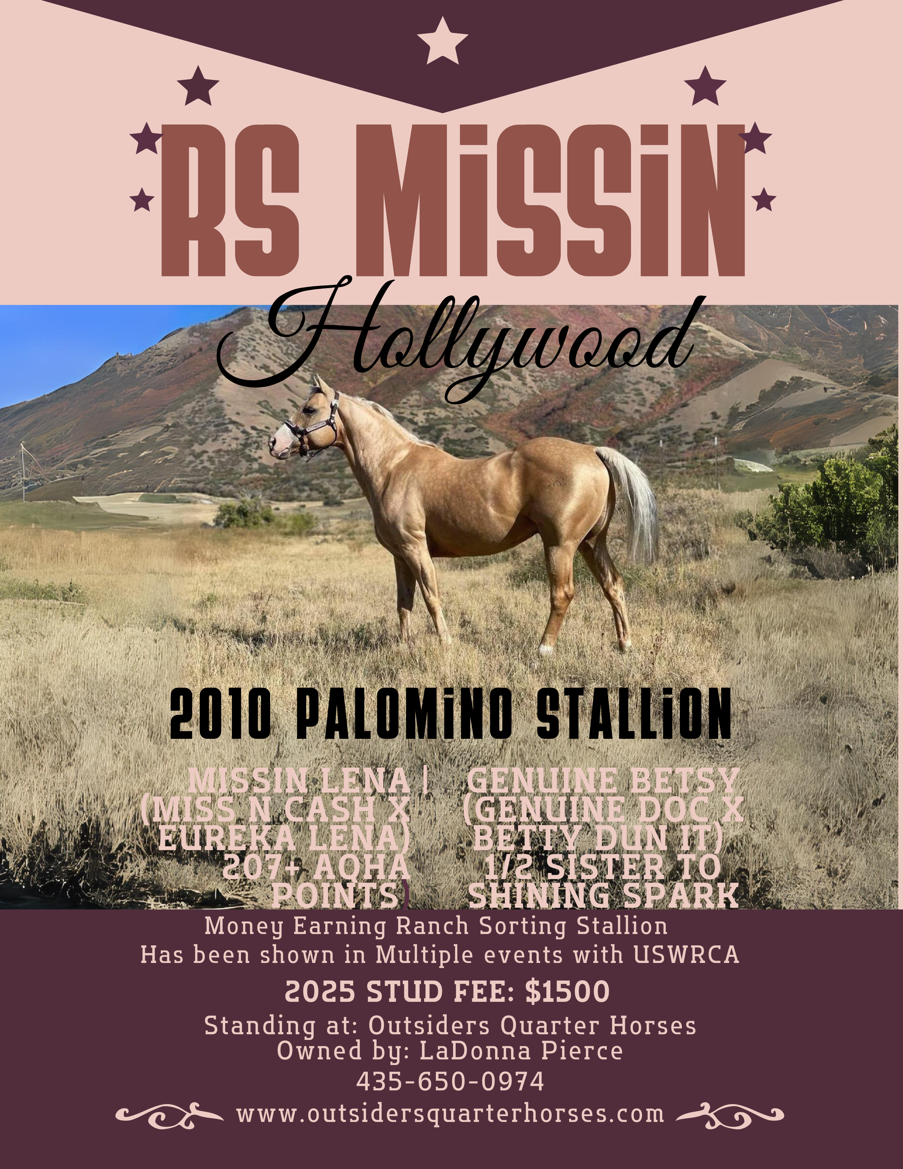 RS Missin Hollywood Stud Flyer